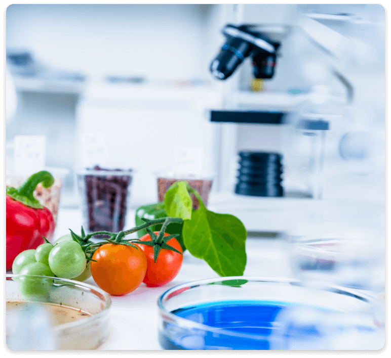 Laboratorul de Analize Fizico-Chimice și Microbiologice ale Alimentelor